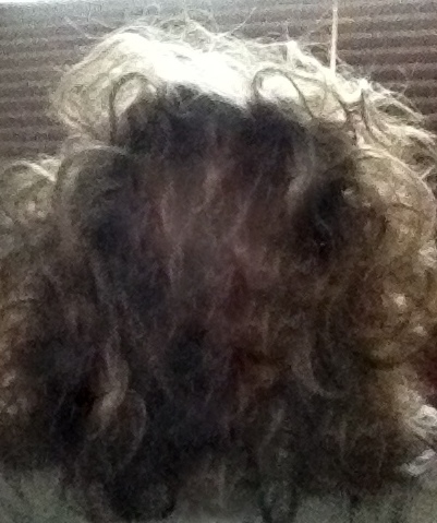 Mommies Don’t Get Sick Days