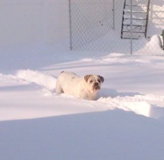 11247_1301437464079_416518_n