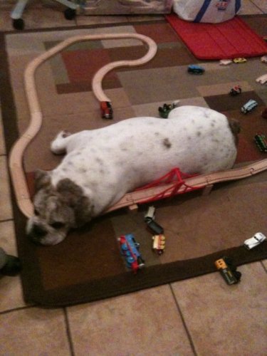 180780_1829015893210_2321018_n