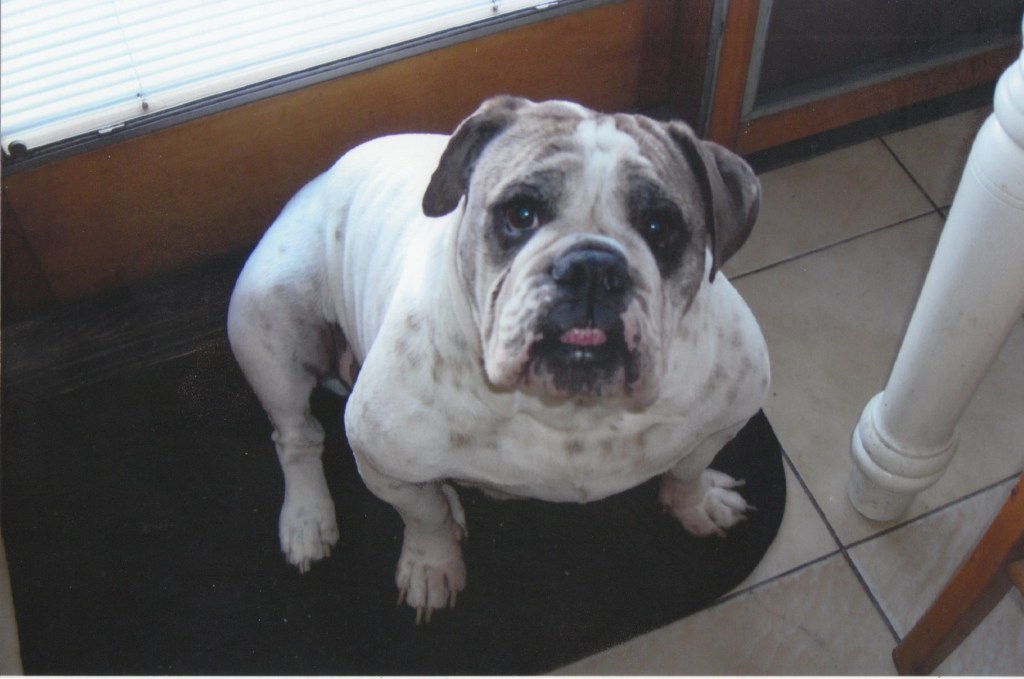 Saying Goodbye to&nbsp;Ike